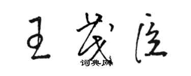 駱恆光王茂臣草書個性簽名怎么寫