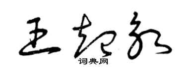 曾慶福王起永草書個性簽名怎么寫