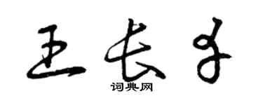 曾慶福王長幸草書個性簽名怎么寫