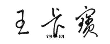 駱恆光王卡寶草書個性簽名怎么寫