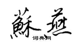 王正良蘇燕行書個性簽名怎么寫