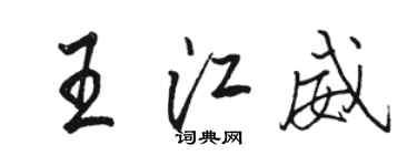駱恆光王江威行書個性簽名怎么寫