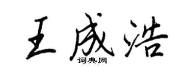 王正良王成浩行書個性簽名怎么寫