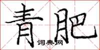龐中華青肥楷書怎么寫