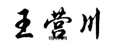 胡問遂王營川行書個性簽名怎么寫