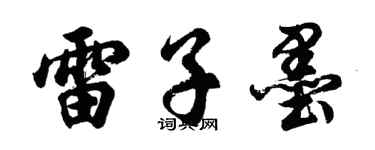 胡問遂雷子墨行書個性簽名怎么寫
