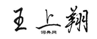 駱恆光王上翔行書個性簽名怎么寫