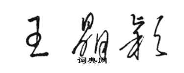 駱恆光王晶穎草書個性簽名怎么寫