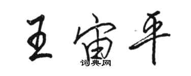 駱恆光王宙平行書個性簽名怎么寫