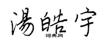 王正良湯皓宇行書個性簽名怎么寫