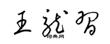 梁錦英王龍習草書個性簽名怎么寫
