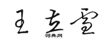 駱恆光王立雪草書個性簽名怎么寫