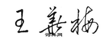 駱恆光王華梅草書個性簽名怎么寫