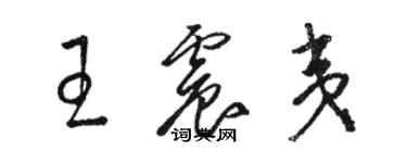 駱恆光王震夷草書個性簽名怎么寫