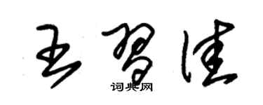 朱錫榮王習佳草書個性簽名怎么寫