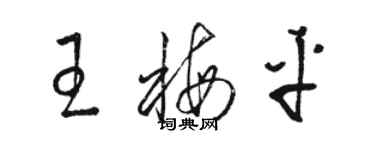 駱恆光王梅平草書個性簽名怎么寫