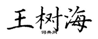 丁謙王樹海楷書個性簽名怎么寫