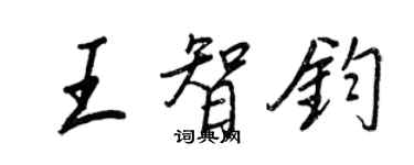 王正良王智鈞行書個性簽名怎么寫