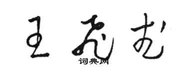 駱恆光王飛武草書個性簽名怎么寫