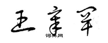 曾慶福王章罕草書個性簽名怎么寫