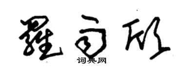 朱錫榮羅雨欣草書個性簽名怎么寫