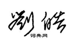 朱錫榮劉皓草書個性簽名怎么寫