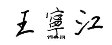 王正良王寧江行書個性簽名怎么寫