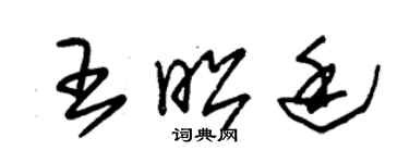 朱錫榮王昭廷草書個性簽名怎么寫