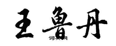 胡問遂王魯丹行書個性簽名怎么寫