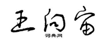 曾慶福王向宙草書個性簽名怎么寫