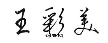 駱恆光王彩美行書個性簽名怎么寫