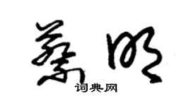 朱錫榮蔡明草書個性簽名怎么寫