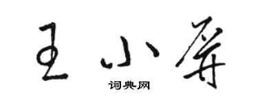 駱恆光王小屏草書個性簽名怎么寫