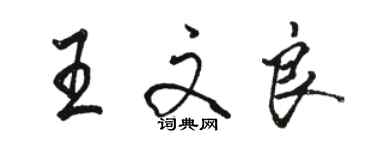 駱恆光王文良行書個性簽名怎么寫