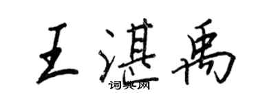 王正良王湛禹行書個性簽名怎么寫