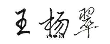 駱恆光王楊翠行書個性簽名怎么寫
