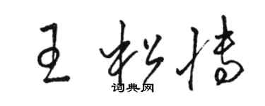 駱恆光王松博草書個性簽名怎么寫
