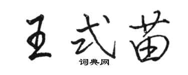 駱恆光王式苗行書個性簽名怎么寫