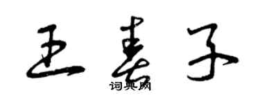 曾慶福王春子草書個性簽名怎么寫