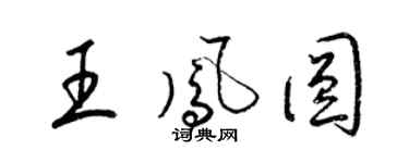 梁錦英王鳳圓草書個性簽名怎么寫