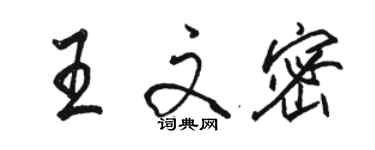 駱恆光王文密行書個性簽名怎么寫