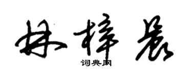 朱錫榮林梓晨草書個性簽名怎么寫