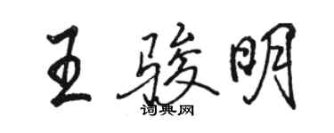 駱恆光王駿明行書個性簽名怎么寫