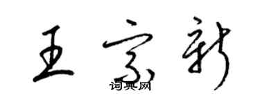 梁錦英王宗新草書個性簽名怎么寫