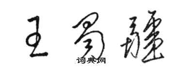 駱恆光王蜀疆草書個性簽名怎么寫