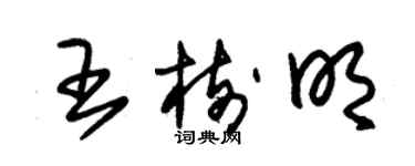 朱錫榮王樹明草書個性簽名怎么寫