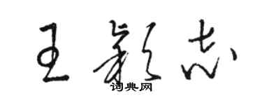 駱恆光王穎志草書個性簽名怎么寫