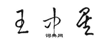 駱恆光王中星草書個性簽名怎么寫