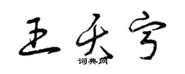 曾慶福王夭寧草書個性簽名怎么寫