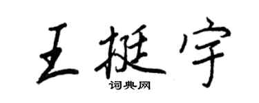 王正良王挺宇行書個性簽名怎么寫